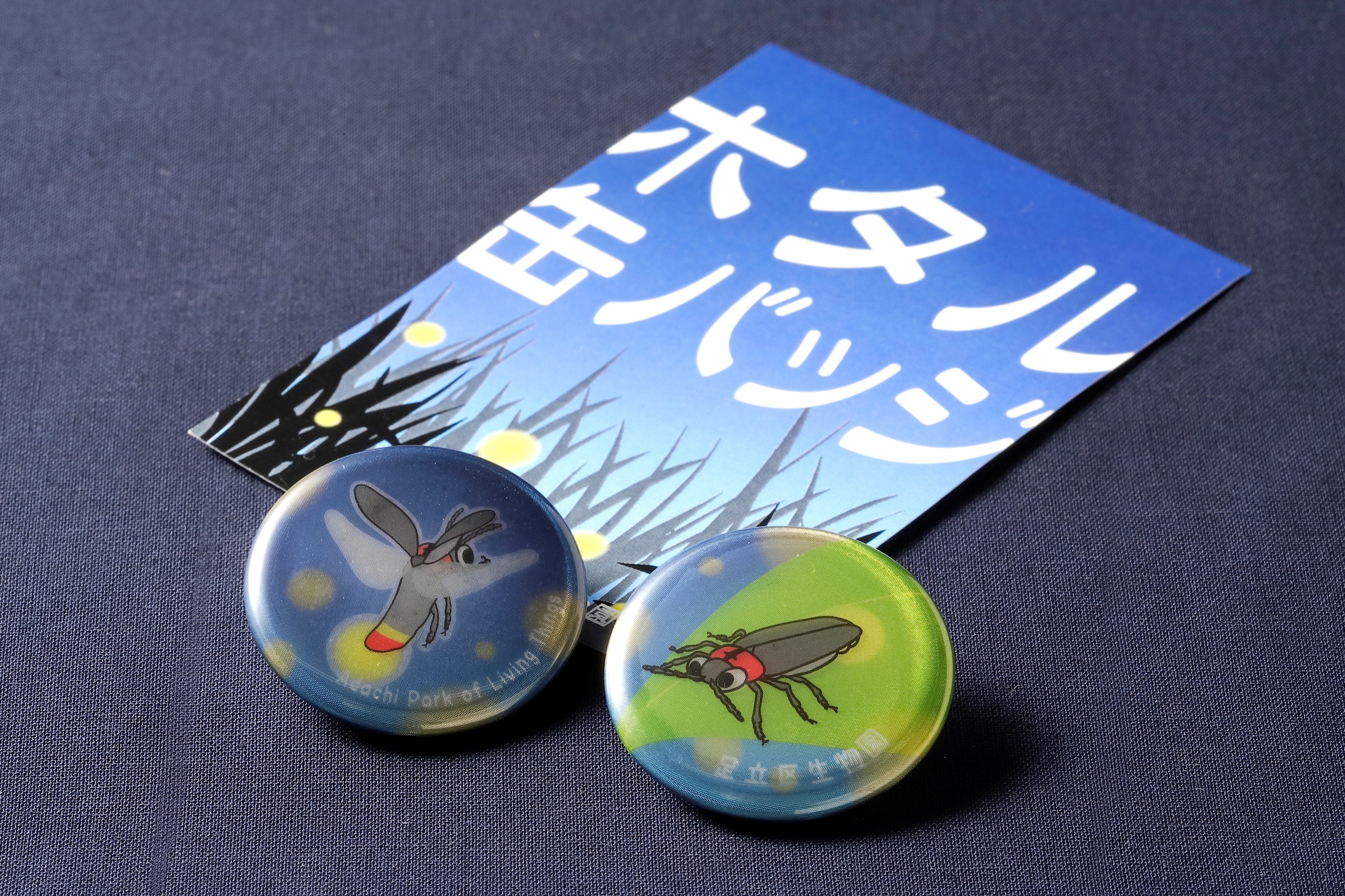 生物園オリジナル】反射で光る！ホタル缶バッジ 2個セット | 生物園